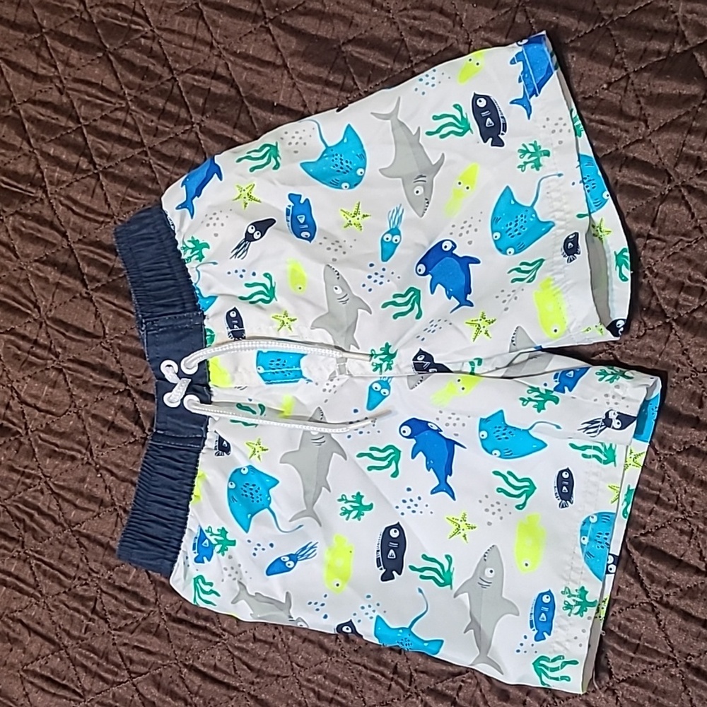 Koala Kids Ocean Swim Trunks